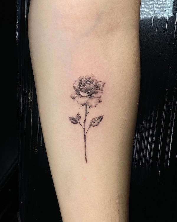 Forearm Black And Gray Rose Tattoo